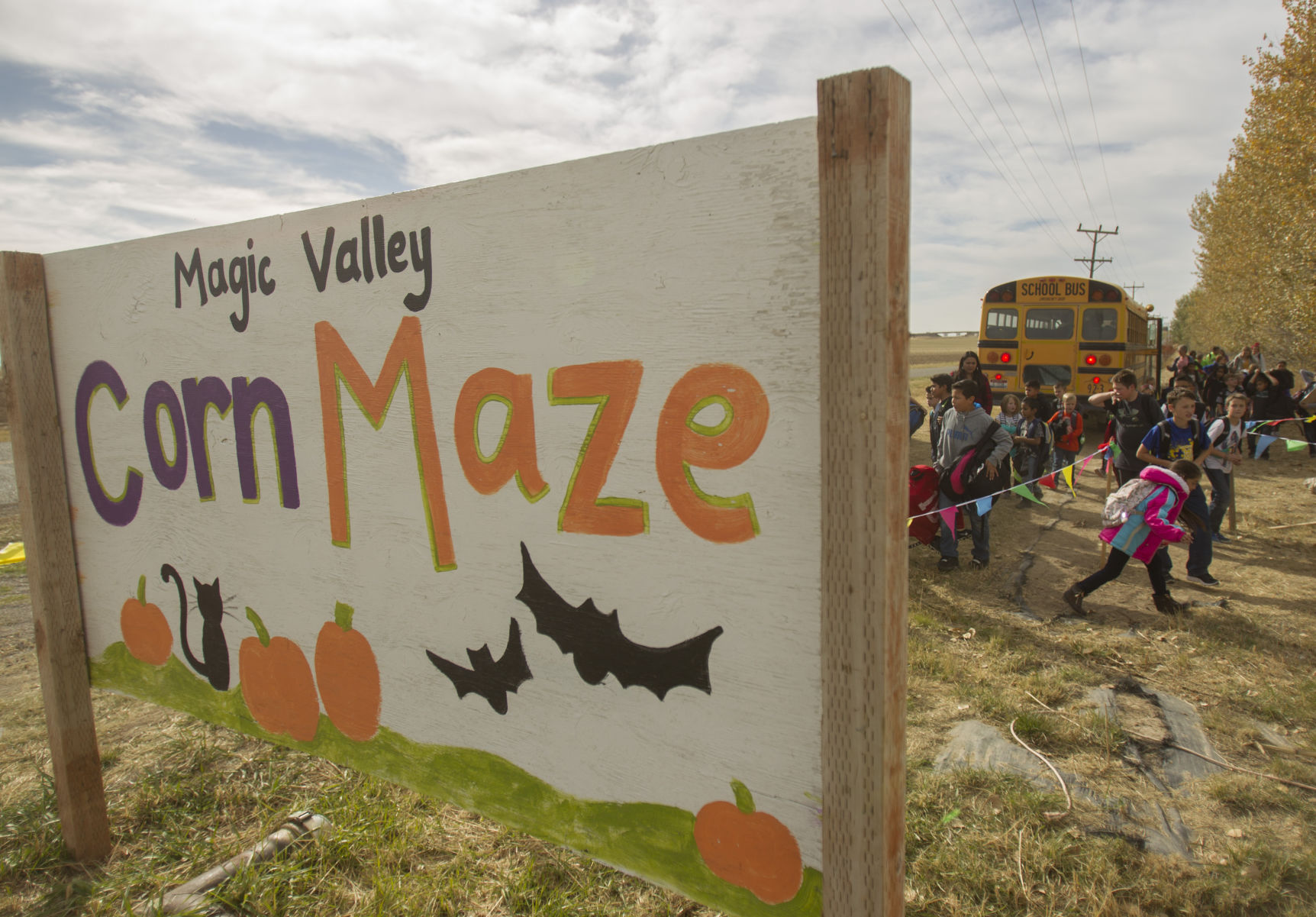 Magic Valley Corn Maze